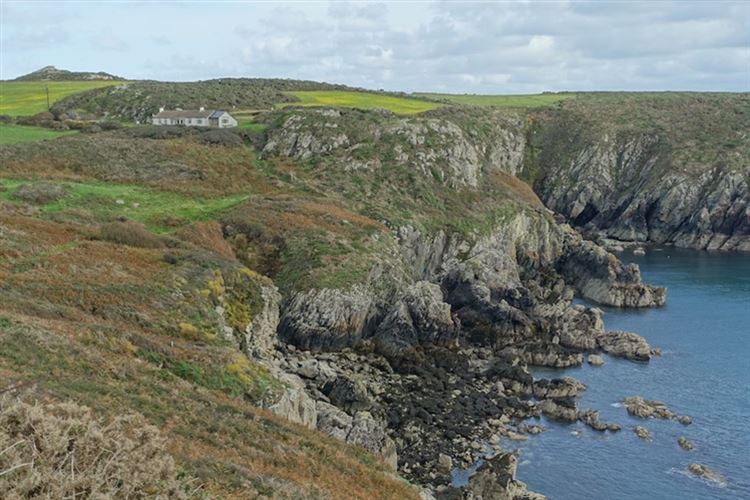 United Kingdom Wales Pembrokeshire, Pembrokeshire Coast Path, Pembrokeshire Coastal Path: Solva to St Davids section, Walkopedia